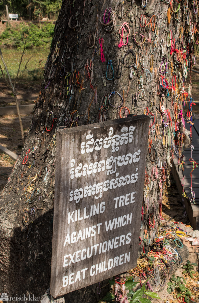 Killing Tree, Killing Fields, Phnom Penh