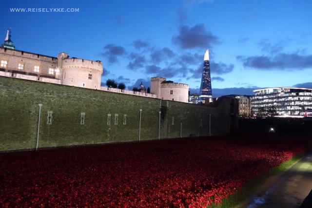 The Poppies by the Tower of London