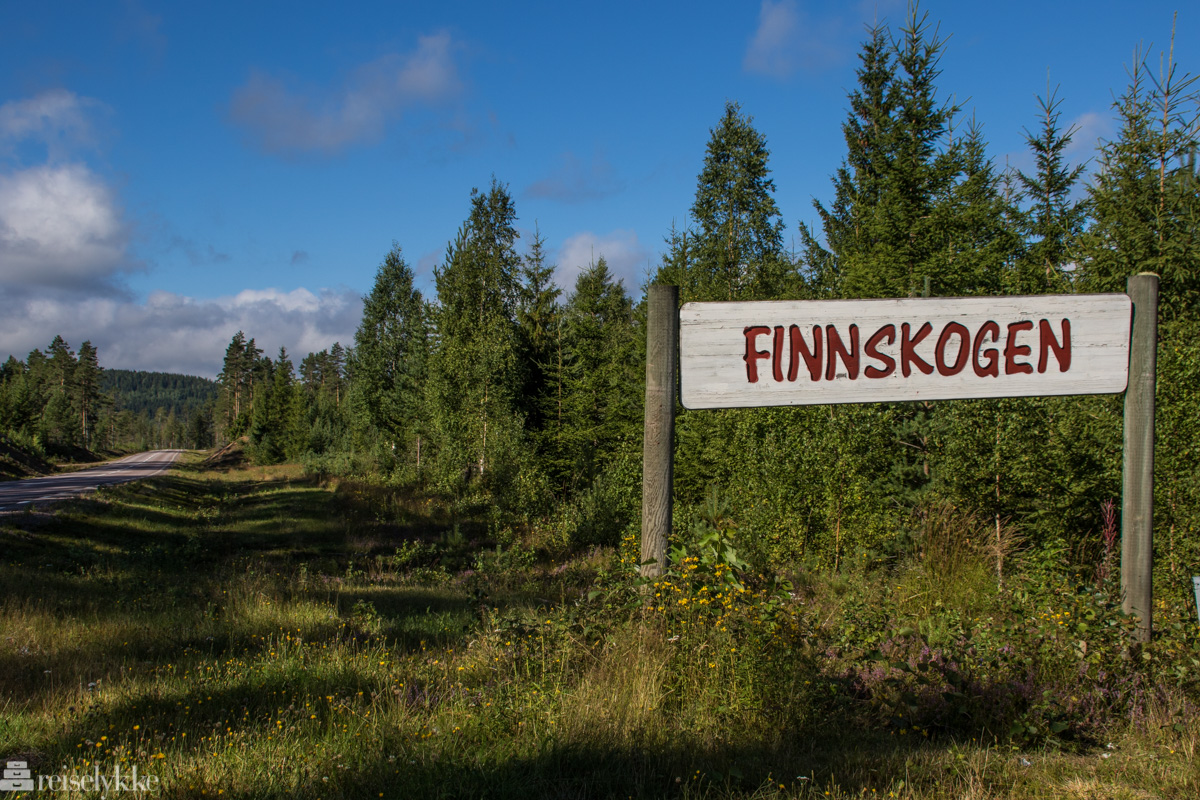 Finnskogen - Reiselykke